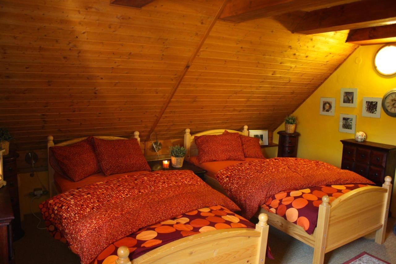 Apartmany U Kaplicky Kamyk nad Vltavou Exterior foto